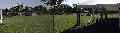 Vile Platz f�r Zelte, wer keins hatte, f�r den war das Gro�e "reserviert"